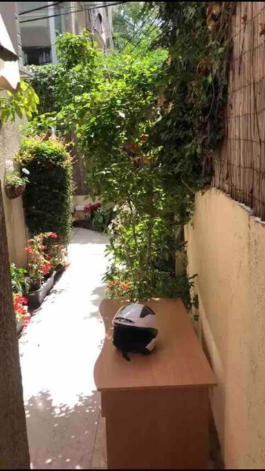 Two Bedrooms Flat With Garden And Free Parking * Tel Aviv